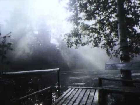 Amigos by Pass Kontrol