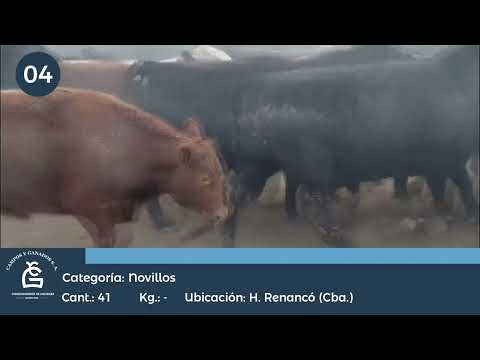 Lote NV CONSUMO - Huinca Renancó Cba