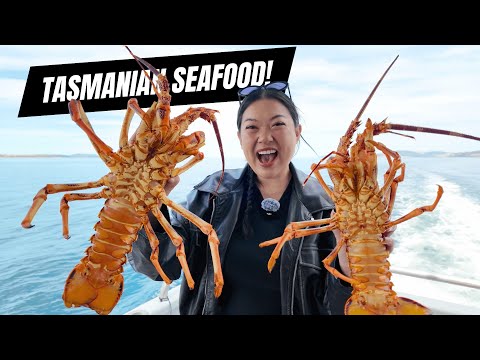 Eating the FRESHEST SEAFOOD in TASMANIA 🦞 HUGE Lobster, Abalone & Oysters!