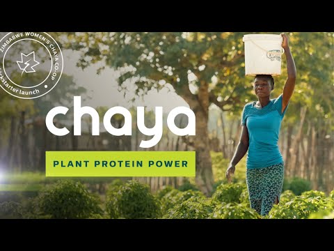 Chaya Kickstarter Campaign: Women Farmers in Zimbabwe Thrive with Chaya