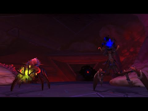 Elicit vs Mythic Hivemind| Holy Paladin POV