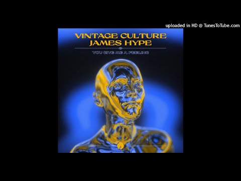 Vintage Culture, James Hype - You Give Me A Feeling (Original Mix)