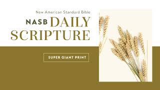 Nasb Daily Scripture From Zondervan Bibles (Super Giant Print