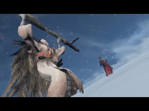 Emma vs Snake Eyes Shirahagi | Sekiro NPC Fights