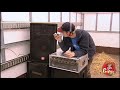 La broma del escape del León