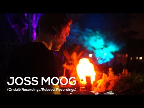 Doctart Interviews: Joss Moog