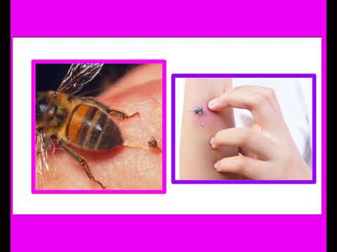 Semana:35- Primeiros Socorros - 32ª videoaula- Ciências- T. 41