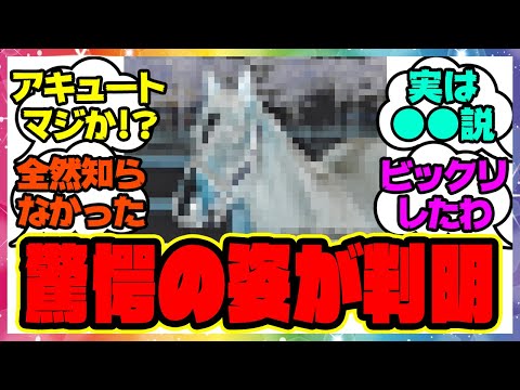 『予想外すぎる実馬のワンダーアキュート&hellip;』に対するみんなの反応 まとめ ウマ娘プリティーダービー レイミン