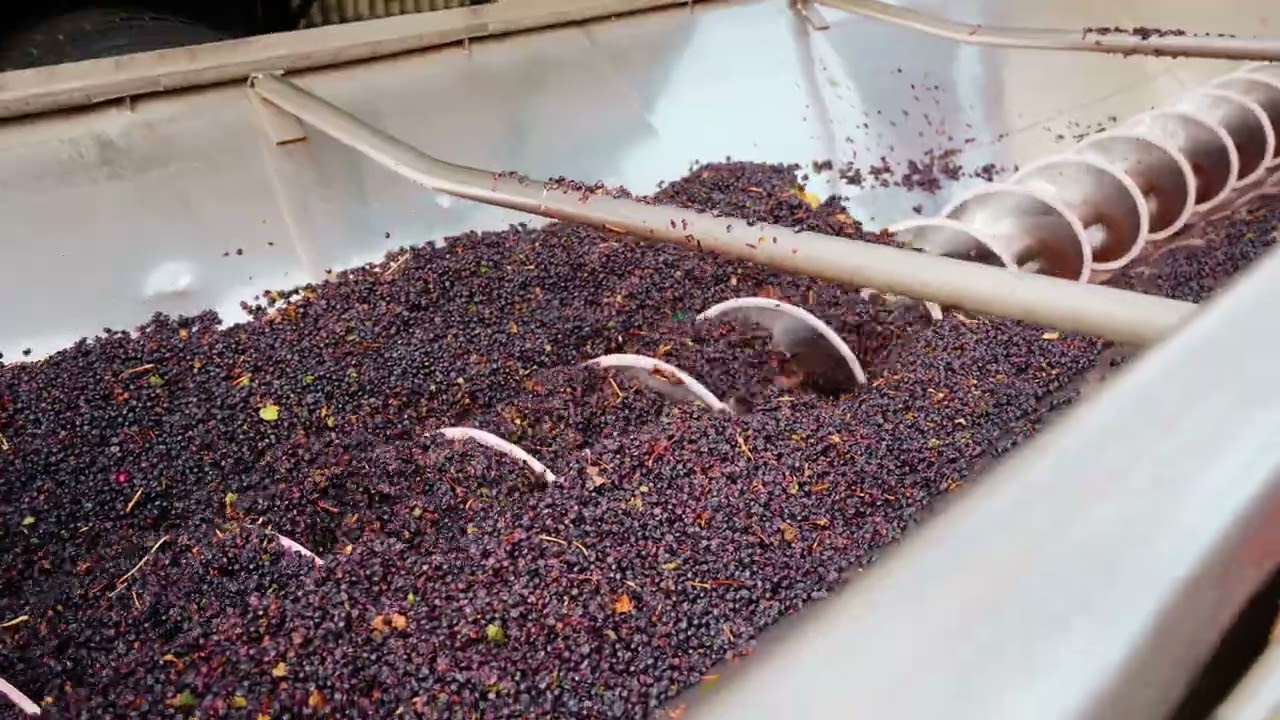 Los Angeles Drone Services | Drone Videography and Aerial Photography