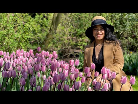 Beautiful flowers in Keukenhof The Netherlands| Tulips, Nature & Calm Moments 4k