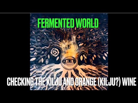 Checking the banned Kilju and the Orange (kilju?) wine #fermentedworld