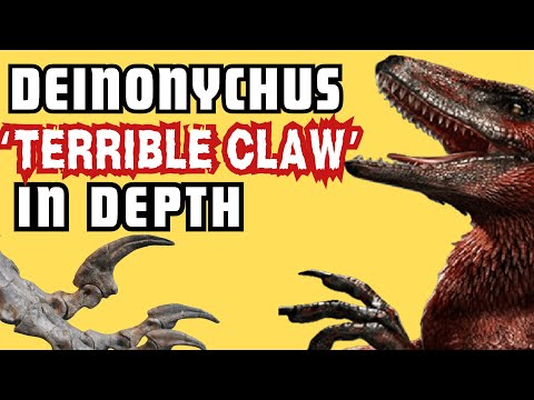 Deinonychus "terrible claw". The real story from a real paleontologist.