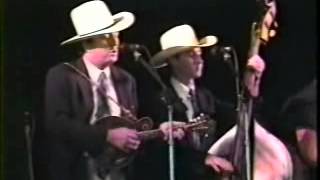 Warrior River Boys - Deep River Blues
