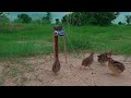 Wow Really Creative Traps Unique DIY Quail Trap Using An Axe And Champion Cans