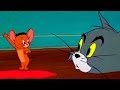 Tom And Jerry Mucho Mouse Episode 108 Tom And Jerry Cartoon IUKeiTv