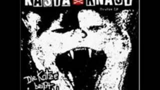 Rasta Knast-Die Katze beisst in Draht