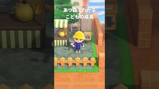 あつ森でわかる子供の成長【あつ森】 #Shorts