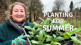 Planting Out, Potting On & Sowing for Summer | February Garden Vlog // Cottoverdi