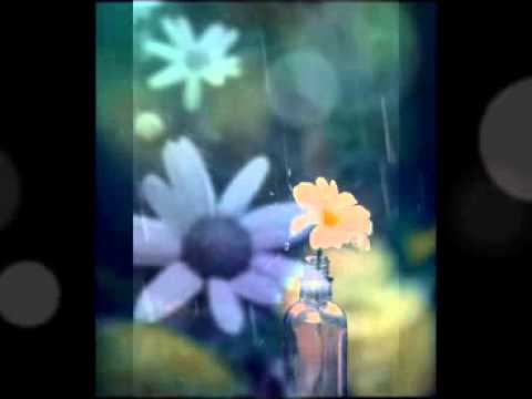 Toni Cetinski   23 prosinac - Samo ostaje nada