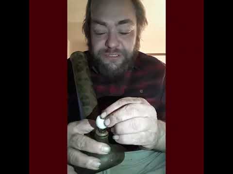 Corona Kush  Cannabis Marijuana