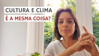 Clima e Cultura Organizacional é a mesma coisa? #4