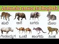 Animals name in english with kannada | Basic english words kannada #Englishwithluckykannada