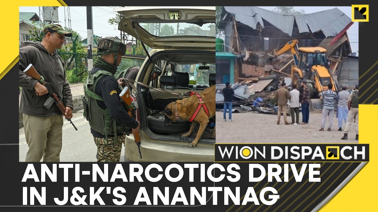 Srinagar: Illegal Properties Worth Crores Demolished | WION Dispatch