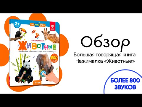 Миниатюра изображения товара Музыкальная книга BertToys Нажималка-Животные / 9785907527430