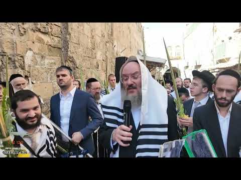 סיבוב שערים - שער המשגיח - הרב אליהו ברי"ט זילברמן - סוכות תשפ"ז
