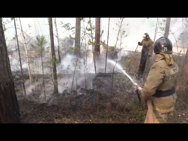 За сутки в Иркутской области потушили 7 лесных пожаров