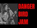 Danger Bird Jam | Crazy Horse / Neil Young Style Guitar Backing Track (A Minor)