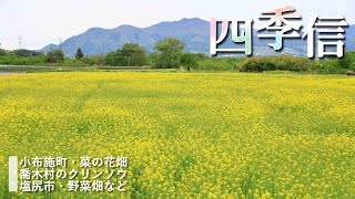 【地方発・長野】四季信
