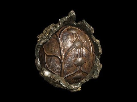 Void Relic for Phobos Junction