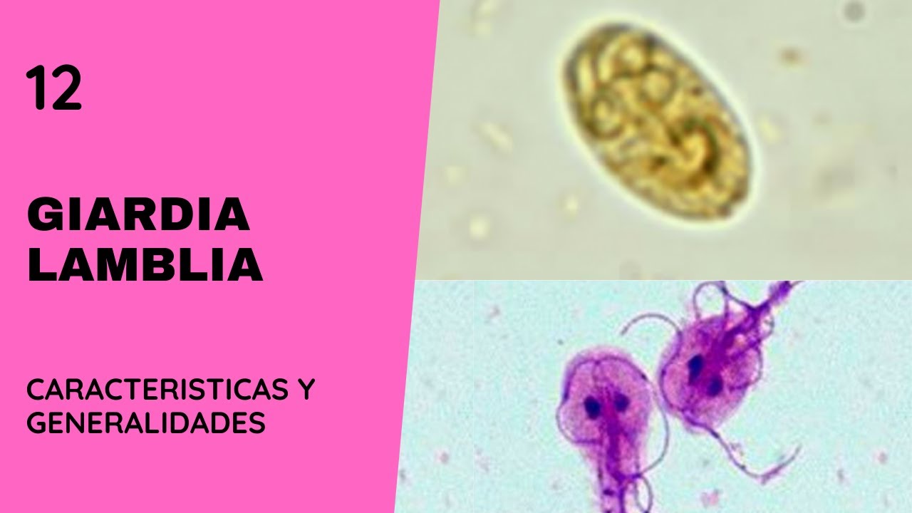 GIARDIA LAMBLIA
