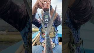 Download lagu Weighing a Monster Milkfish! The Weight Is Shocking 😱🐟 #fishing #angling #milkfish mp3