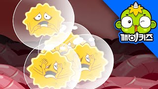 대장균과 한판 승부 (하) | 인체탐험대 #04 | 과학만화 | 인체탐구 | 깨비키즈 KEBIKIDS