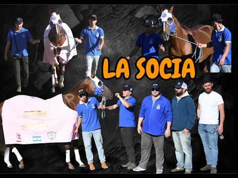 LA SOCIA - LA PREVIA - COPA CHALLENGER. LA DIOSA, TRES ISLETAS, CHACO