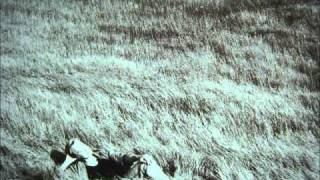 Green Fields Music Video