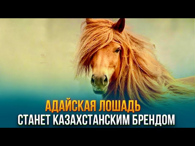 Главные новости 26.12.2023 г.