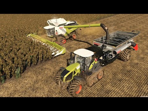 Lone Oak  EP#76 | Farming Simulator 19 Timelapse | FS19 Timelapse | Harvest
