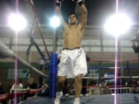 Peleas de Mingo  damigella