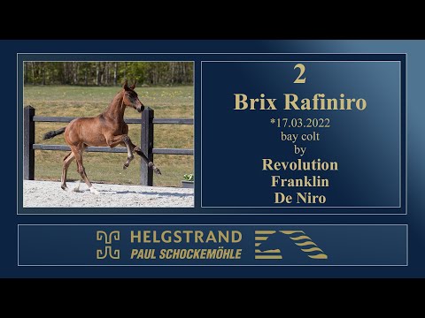 2 - Brix Rafiniro by Revolution/Franklin - Helgstrand-Schockemöhle Auction on June 4th 2022