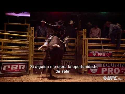 UFC Fight Night: Road to the Octagon