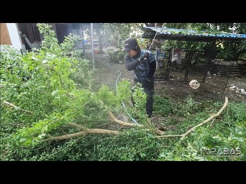 EP793-P1 - Paglilinis ng Paligid Pagkatapos ng Bagyo