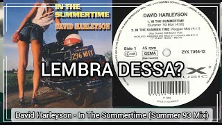 Download lagu David Harleyson - In The Summertime (Summer 93 Mix) 1993 mp3