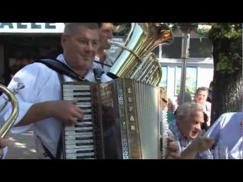 die 4 Hinterberger Musikanten,  Ich und der Mond.mpg