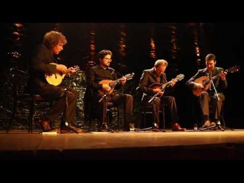 Scottische van Zaventem - Mandolinman