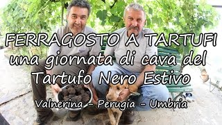 preview picture of video 'Raccolta dei Tartufi Estivi in Valnerina / Cascia - Norcia / Il Tuber Aestivum Vitt'