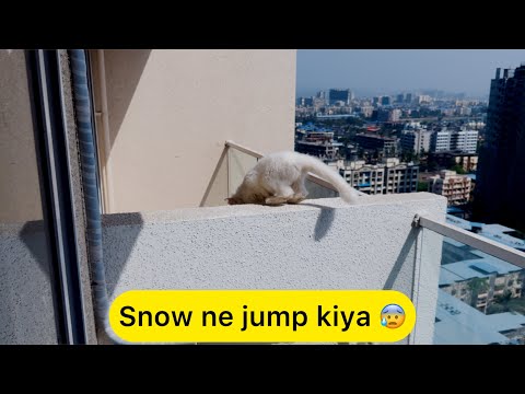 Amrita aur Golu ko bhi nahi pata snow kaha gai 😰