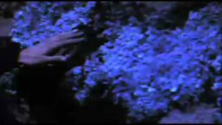 Midnight Juggernauts-Twenty Thousand Leagues